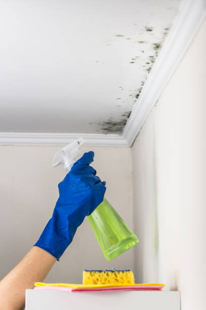 Best Crawl Space Mold Removal  in Oolitic, IN